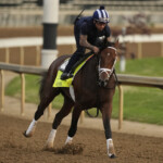 mike-repole’s-horse-grande-scratched-from-kentucky-derby-as-field-dwindles