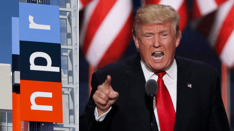 ‘bold-and-fearless’:-trump-launches-new-wave-of-judicial-nominations