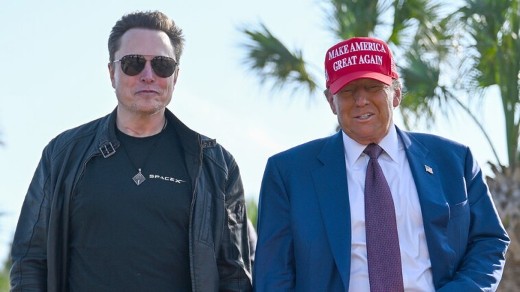 top-5-most-outrageous-ways-the-government-has-wasted-your-taxes,-as-uncovered-by-elon-musk’s-doge