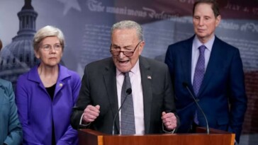 democrats-warn-cutting-state-propaganda-will-lead-to-fascism