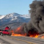 one-driver-in-deadly-yellowstone-park-crash-id’d,-6-other-victims-burned-beyond-recognition