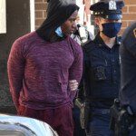 nearly-3k-cases-of-animal-cruelty-were-reported-in-nyc-over-a-decade:-aspca