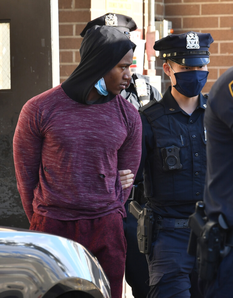 nearly-3k-cases-of-animal-cruelty-were-reported-in-nyc-over-a-decade:-aspca