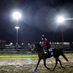 kentucky-derby-2025-odds,-picks:-betting-lines,-favorites,-expert-prediction,-post-positions