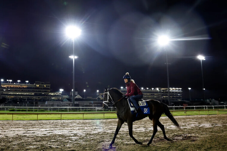 kentucky-derby-2025-odds,-picks:-betting-lines,-favorites,-expert-prediction,-post-positions