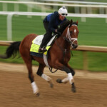 2025-kentucky-derby-today:-start-time,-tv-channel,-how-to-watch-live,-post-positions-and-more