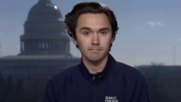 dnc-vice-chair-david-hogg-rips-his-own-party-:-‘clearly-something-is-not-going-right-here’