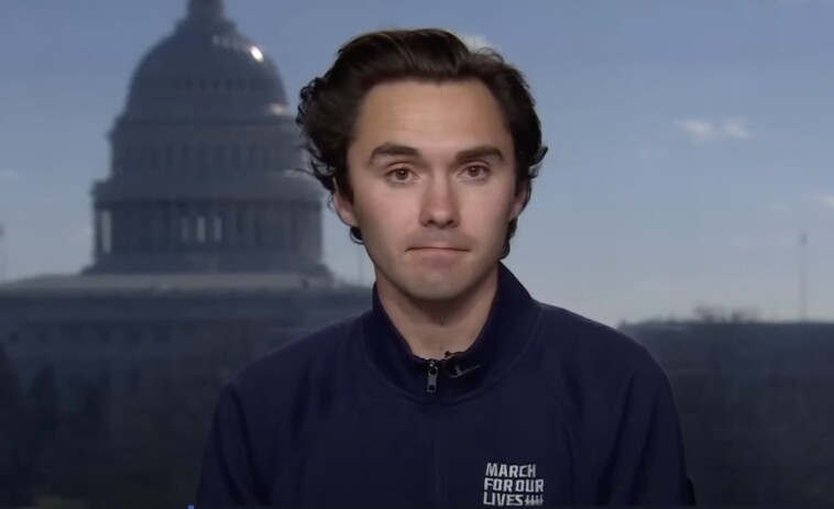 dnc-vice-chair-david-hogg-rips-his-own-party-:-‘clearly-something-is-not-going-right-here’