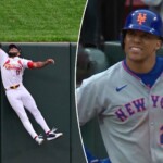 mets’-juan-soto-robbed-of-game-changing-homer-by-spectacular-cardinals-catch