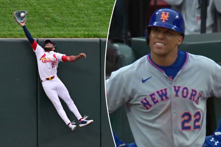 mets’-juan-soto-robbed-of-game-changing-homer-by-spectacular-cardinals-catch