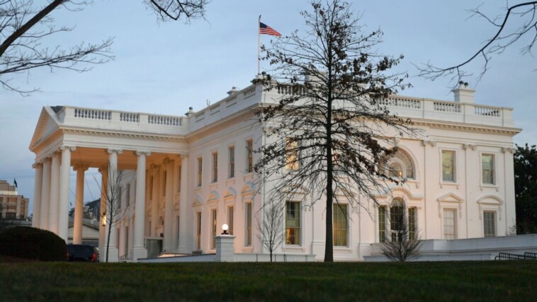 trump-plan-cuts-funding-for-brain-injury-research