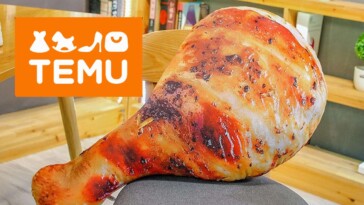 temu-shutdown-devastates-americans-looking-to-buy-throw-pillows-that-look-like-chicken-legs