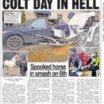 arthur-—-the-nyc-carriage-horse-who-famously-crashed-into-two-cars-—-found-happy-ending