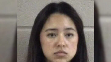 migrant-family-drives-selves-into-ice-deportation