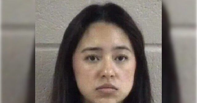 migrant-family-drives-selves-into-ice-deportation