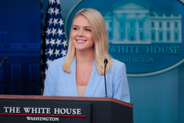 leavitt-spars-with-reporter-who-suggests-trump-could-use-middle-east-trip-for-personal-profit