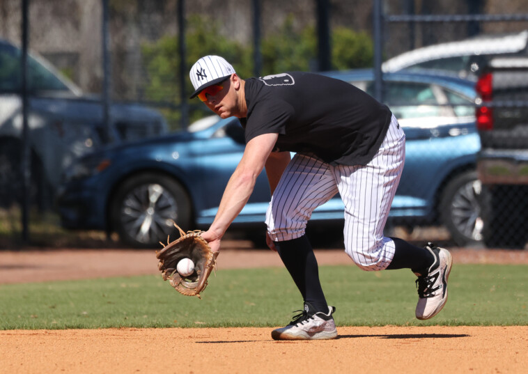 dj-lemahieu’s-return-to-yankees-delayed-by-inclement-weather-at-rehab-assignment