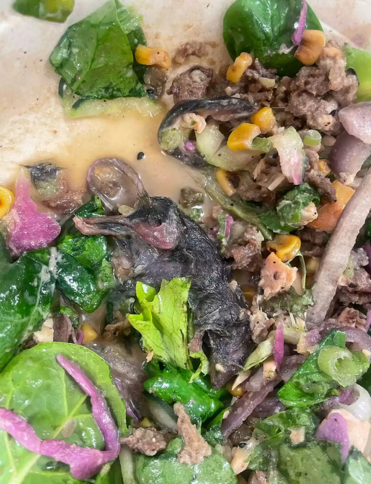 customer-claims-she-found-a-dead-rat-in-her-salad-—-but-this-nyc-restaurant-suspects-otherwise