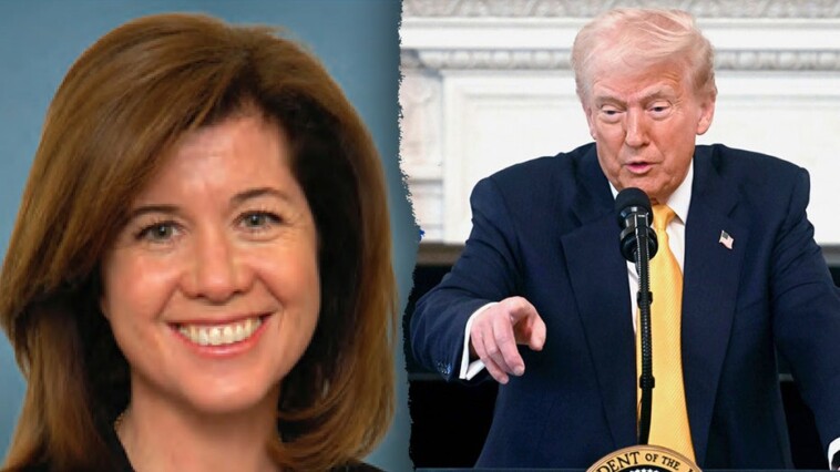 senate-parliamentarian:-who-is-the-unelected-official-getting-say-on-trump’s-‘big,-beautiful-bill?’