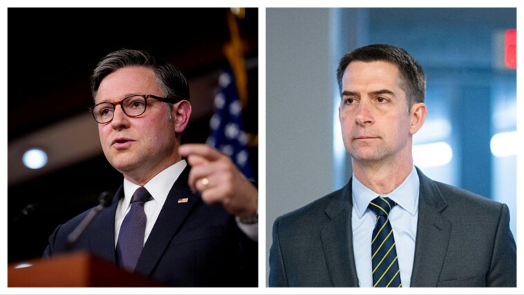 top-gop-members-of-congress-undeterred-after-hostage-release:-‘eliminate-hamas’
