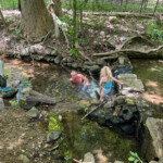 rfk-jr.-takes-a-dip-in-dc-creek-known-for-high-levels-of-fecal-bacteria-and-‘infectious-pathogens’ 