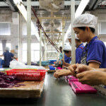 us-rakes-in-record-$16b-in-customs-duties-in-april-from-trump-tariffs