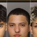 south-carolina:-six-illegal-migrants-charged-with-murdering-woman