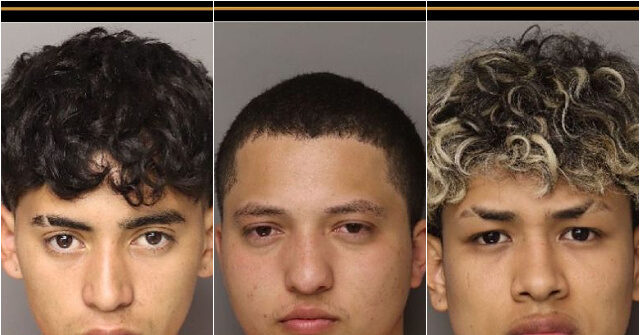 south-carolina:-six-illegal-migrants-charged-with-murdering-woman