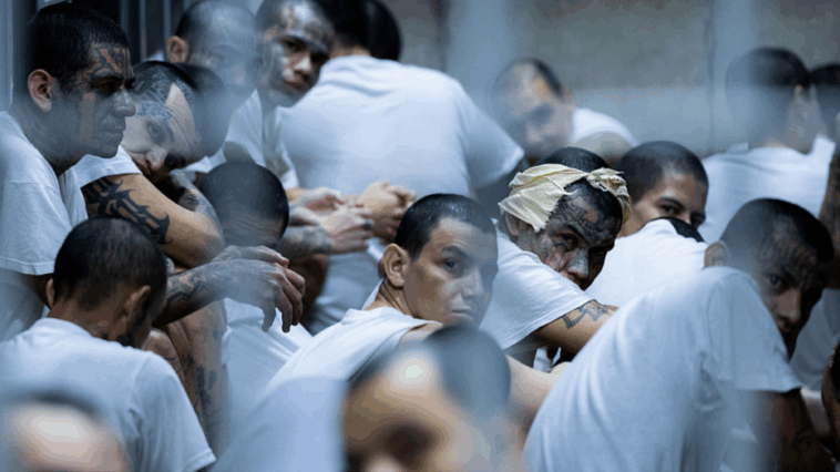 emerging-venezuelan-gang-‘more-violent’-than-tren-de-aragua-targets-rural-america,-expert-warns