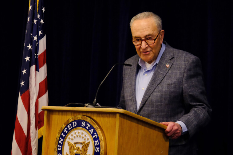 schumer-stalls-trump’s-doj-nominees-over-qatar-‘palace-in-the-sky’-jet-gift
