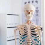 score!-doctor-left-a-cool-skeleton-in-room-for-you-to-play-with