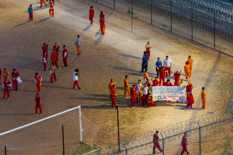alleged-tren-de-aragua-gangbangers-in-ice-detention-hold-up-sign,-beg-to-be-deported