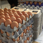 us-egg-prices-plummet-12.7%-—-biggest-monthly-drop-since-1984