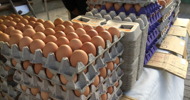 us-egg-prices-plummet-12.7%-—-biggest-monthly-drop-since-1984