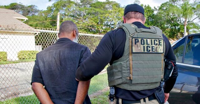 judge-allows-irs-to-help-ice-agents-locate-illegal-aliens-through-tax-data