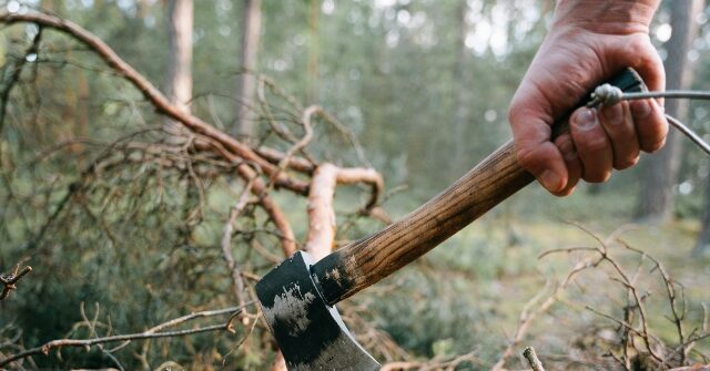 alleged-intruder-with-axe-dead-after-homeowners-open-fire