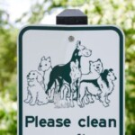 video:-minor-league-official-scoops-dog-poop-off-the-field-with-bare-hands