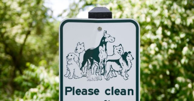 video:-minor-league-official-scoops-dog-poop-off-the-field-with-bare-hands