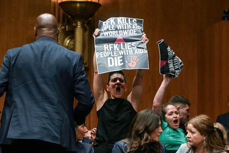 ben-&-jerry’s-co-founder-arrested-for-stunt-during-rfk-testimony