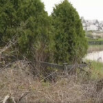 human-remains-found-near-taylor-swift’s-beachside-rhode-island-mansion
