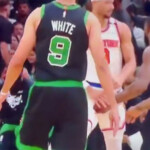 josh-hart’s-wife-shannon-has-one-word-reaction-to-jaylen-brown’s-crotch-grab-on-knicks-star