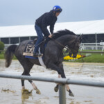 a-preakness-stakes-long-shot-is-named-after-an-obscure-met