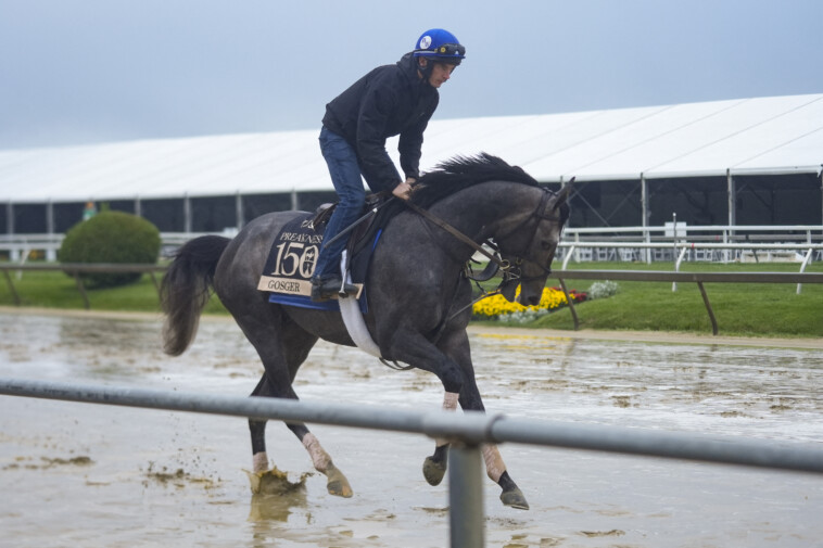 a-preakness-stakes-long-shot-is-named-after-an-obscure-met