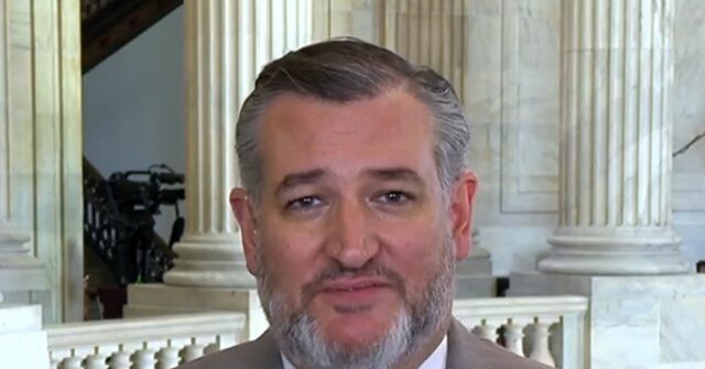 cruz:-birthright-citizenship-‘an-abuse-of-our-laws’