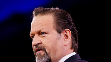 nolte:-gorka-guts-politico-over-ms-13-defense,-politico-responds-with-lies