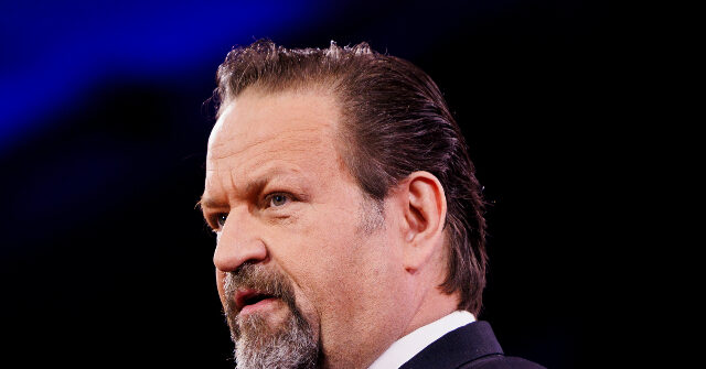 nolte:-gorka-guts-politico-over-ms-13-defense,-politico-responds-with-lies