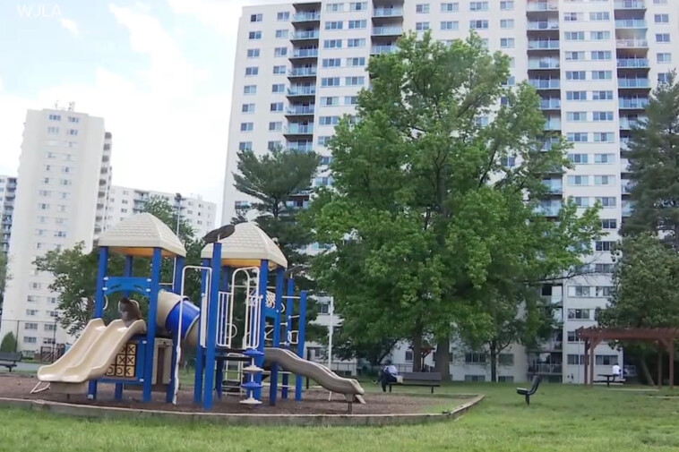 boy,-2,-survives-15-story-fall-from-maryland high-rise-by-landing-on-bushes:-‘miraculous’