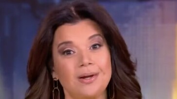 ana-navarro:-gop-voters-‘cut-from-a-diffrent-cloth,’-they-overlook-trump’s-flaws-for-power