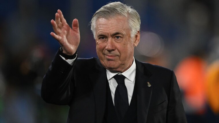 ancelotti-happy-with-madrid-transfer-backing
