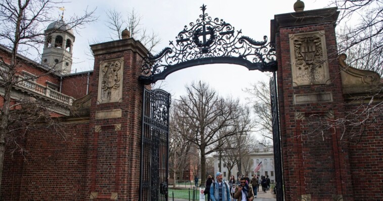 harvard-president-takes-pay-cut-so-school-can-continue-racism-against-whites,-hatred-of-jews